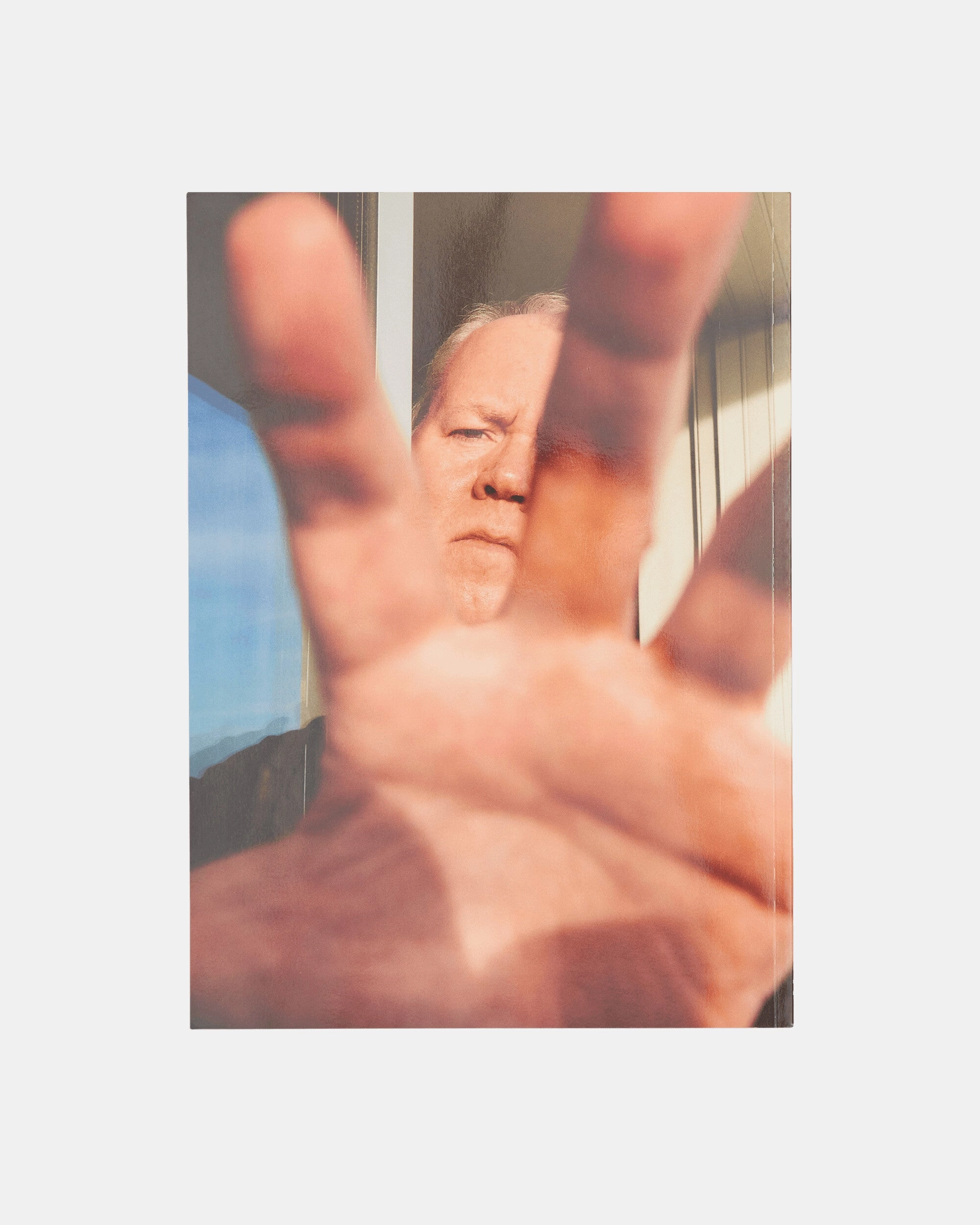 Issue 15 / Breton Easton Ellis Multicolor
